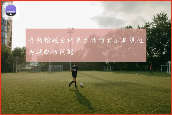 乔约翰逊分析莫兰特的打法局限性与适配性问题