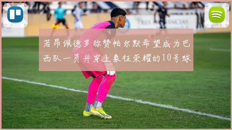 若昂佩德罗称赞帕尔默希望成为巴西队一员并穿上象征荣耀的10号球衣