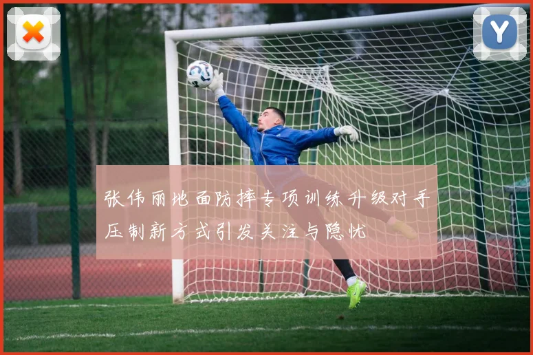 张伟丽地面防摔专项训练升级对手压制新方式引发关注与隐忧